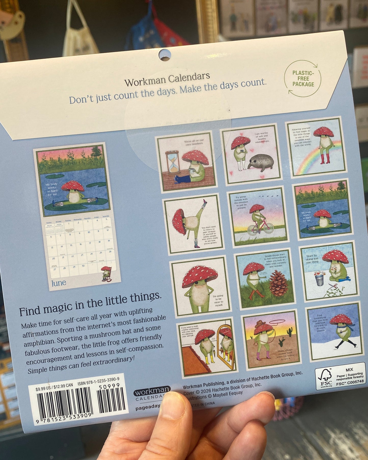 Little Frog’s Guide To Self-Care 2027 Mini Wall Calendar