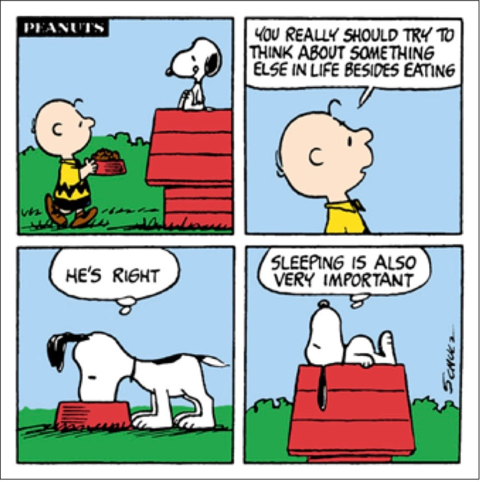 Snoopy Sleeping Comic Card