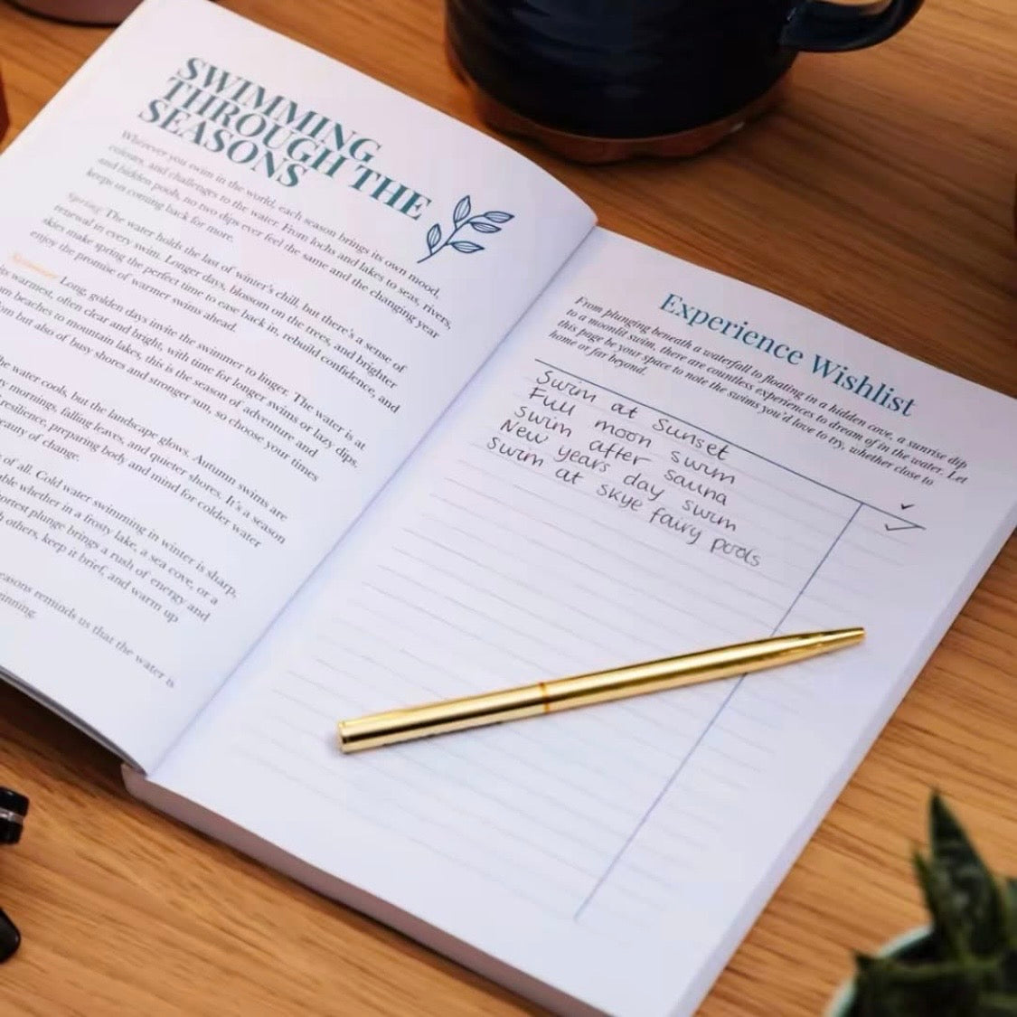 Wild Swimming Journal