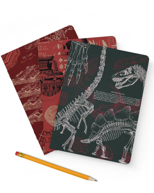Ancient Earth Notebook Set: Geology, Paleontology, Archaeology