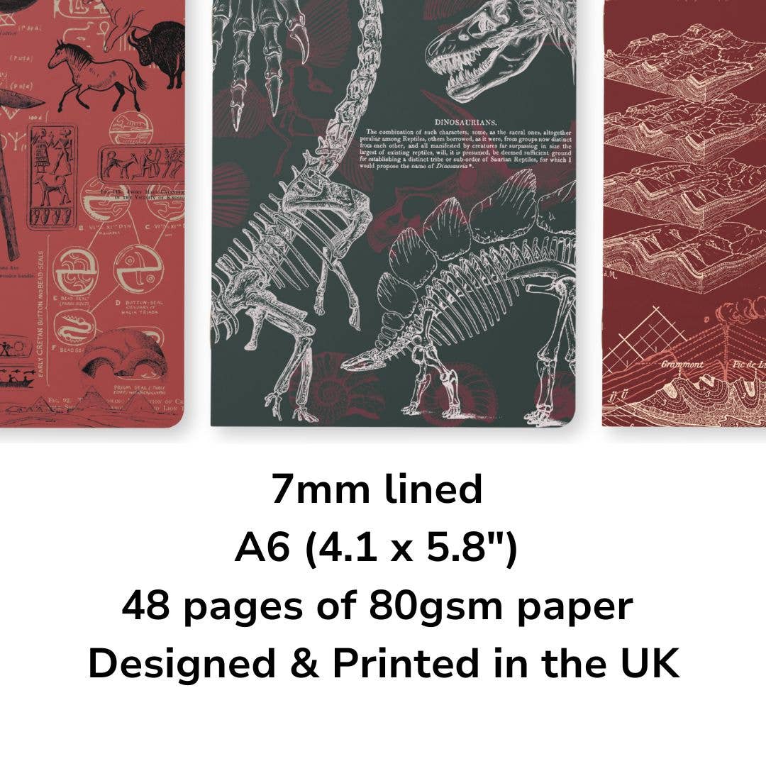 Ancient Earth Notebook Set: Geology, Paleontology, Archaeology