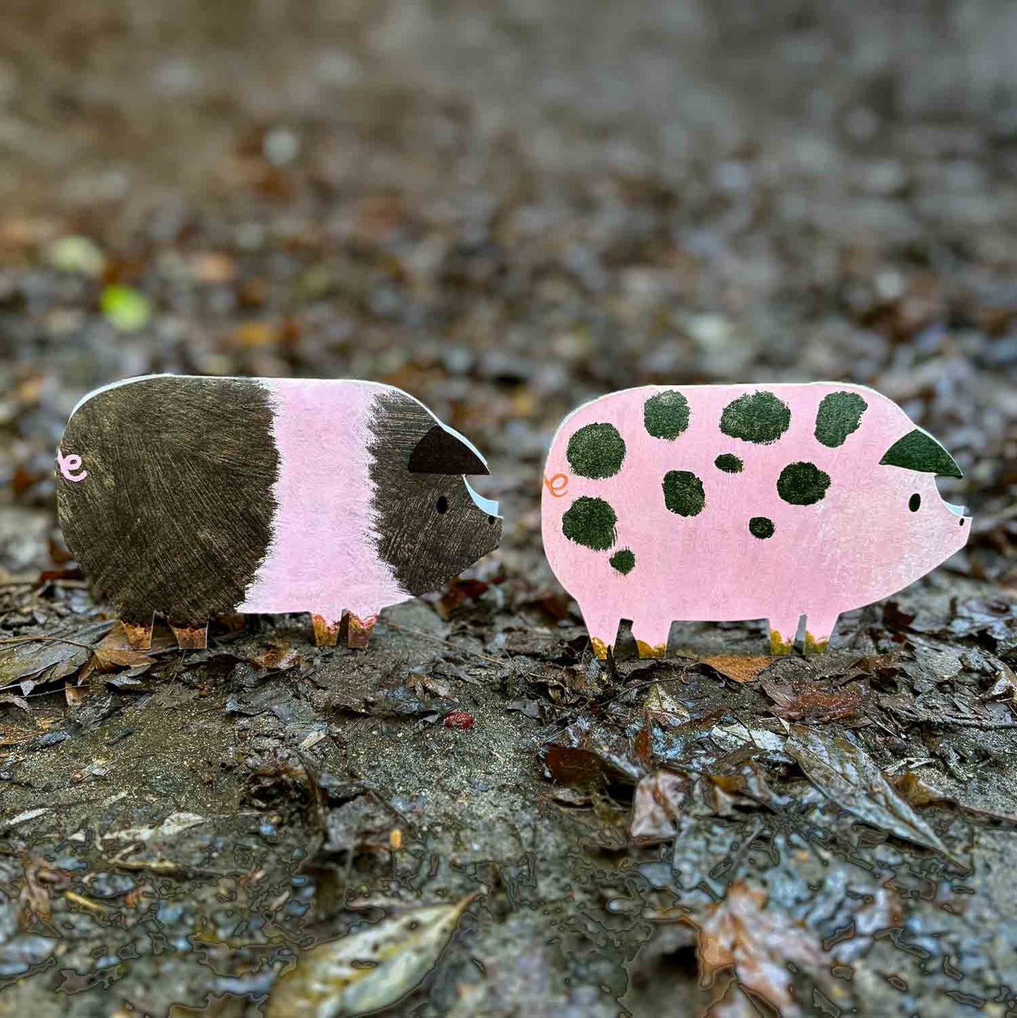 Spotty Pig Card