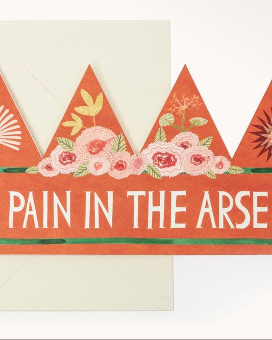Pain In The Arse Party Hat