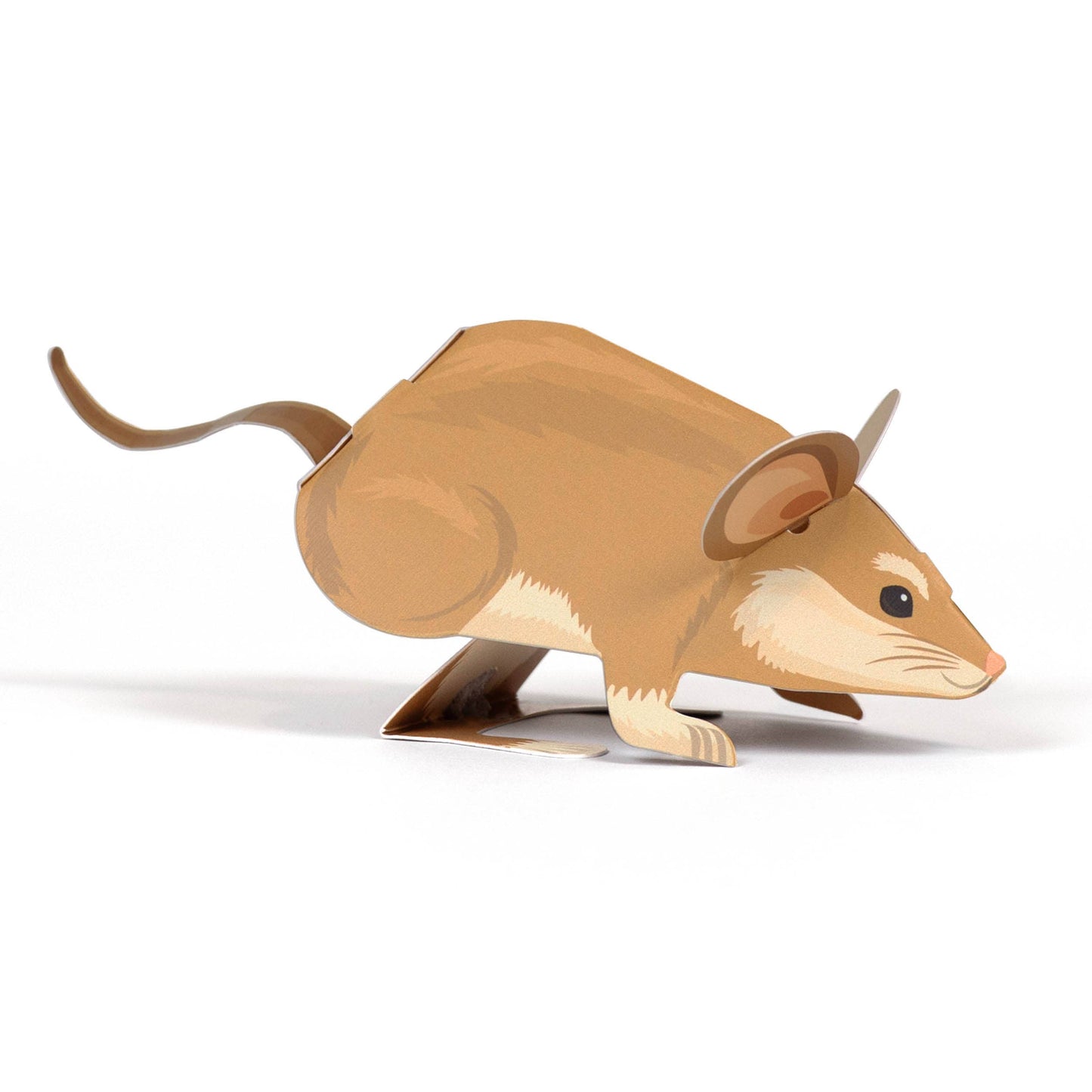 Create Your Own Adorable Dormouse