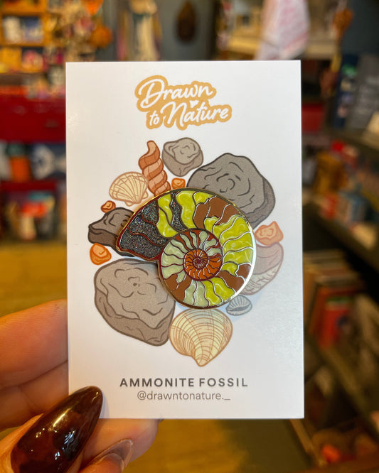 Ammonite Pin