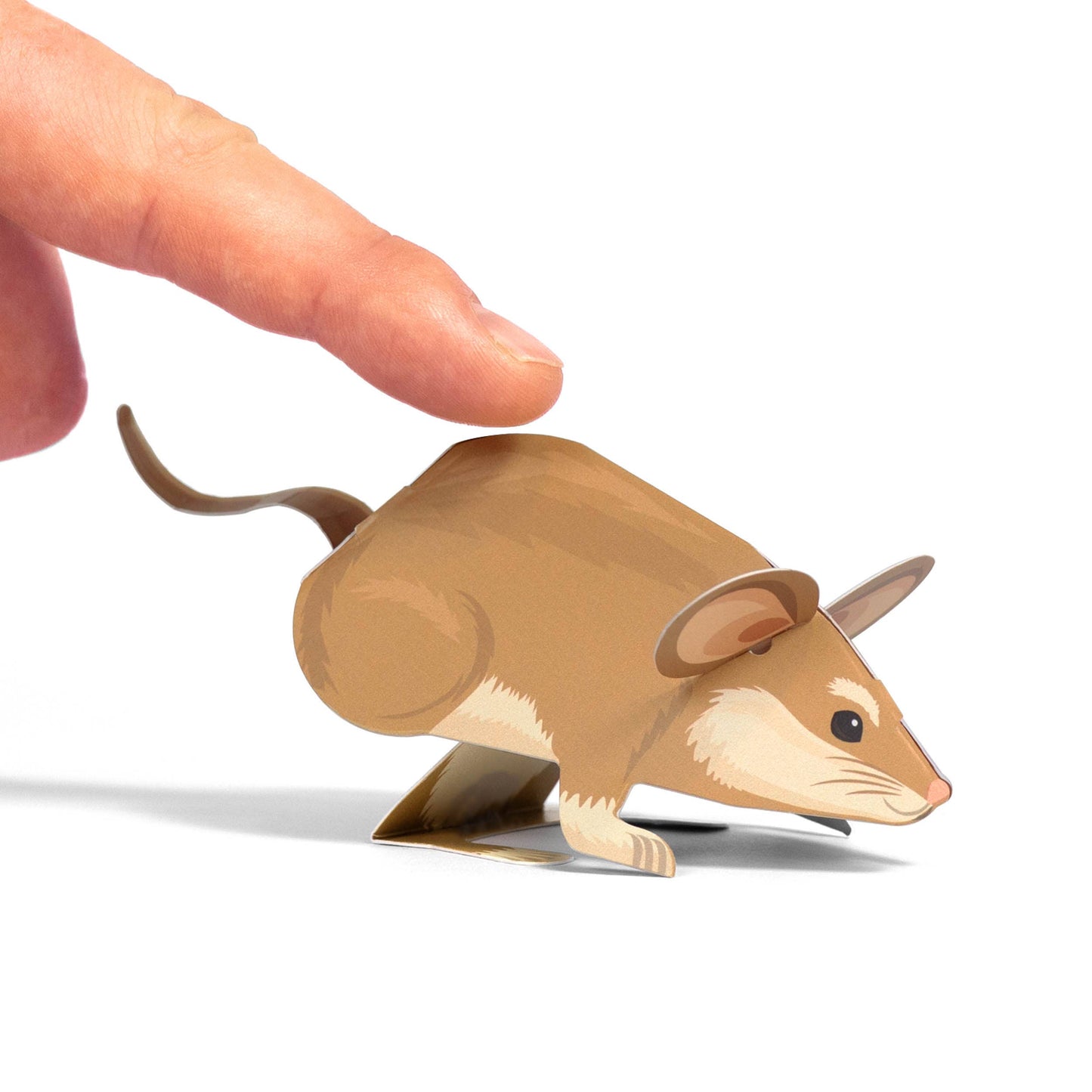 Create Your Own Adorable Dormouse