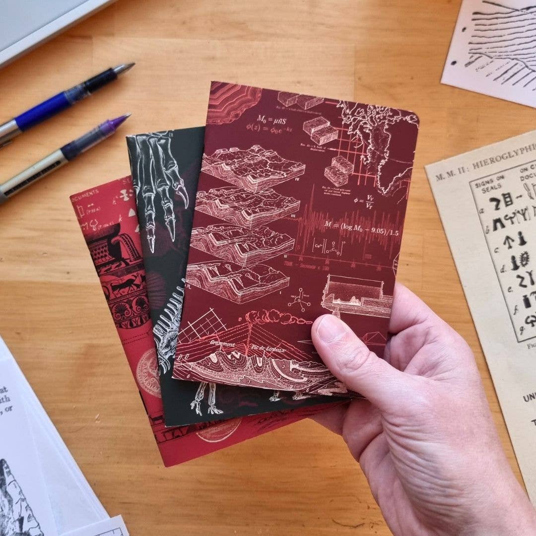 Ancient Earth Notebook Set: Geology, Paleontology, Archaeology