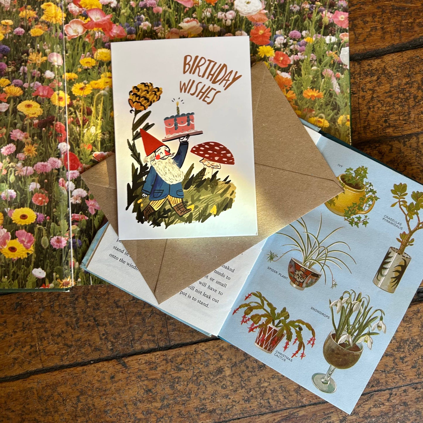 Gnome birthday card 