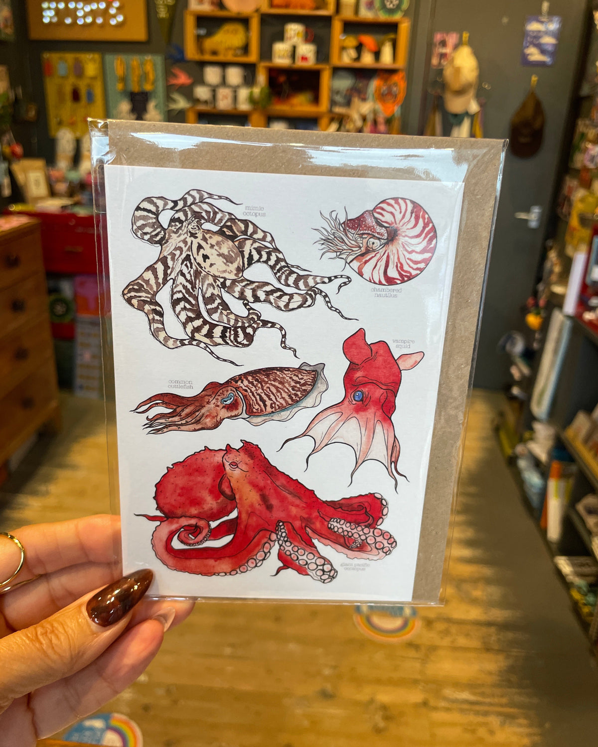 Cephalopods Card