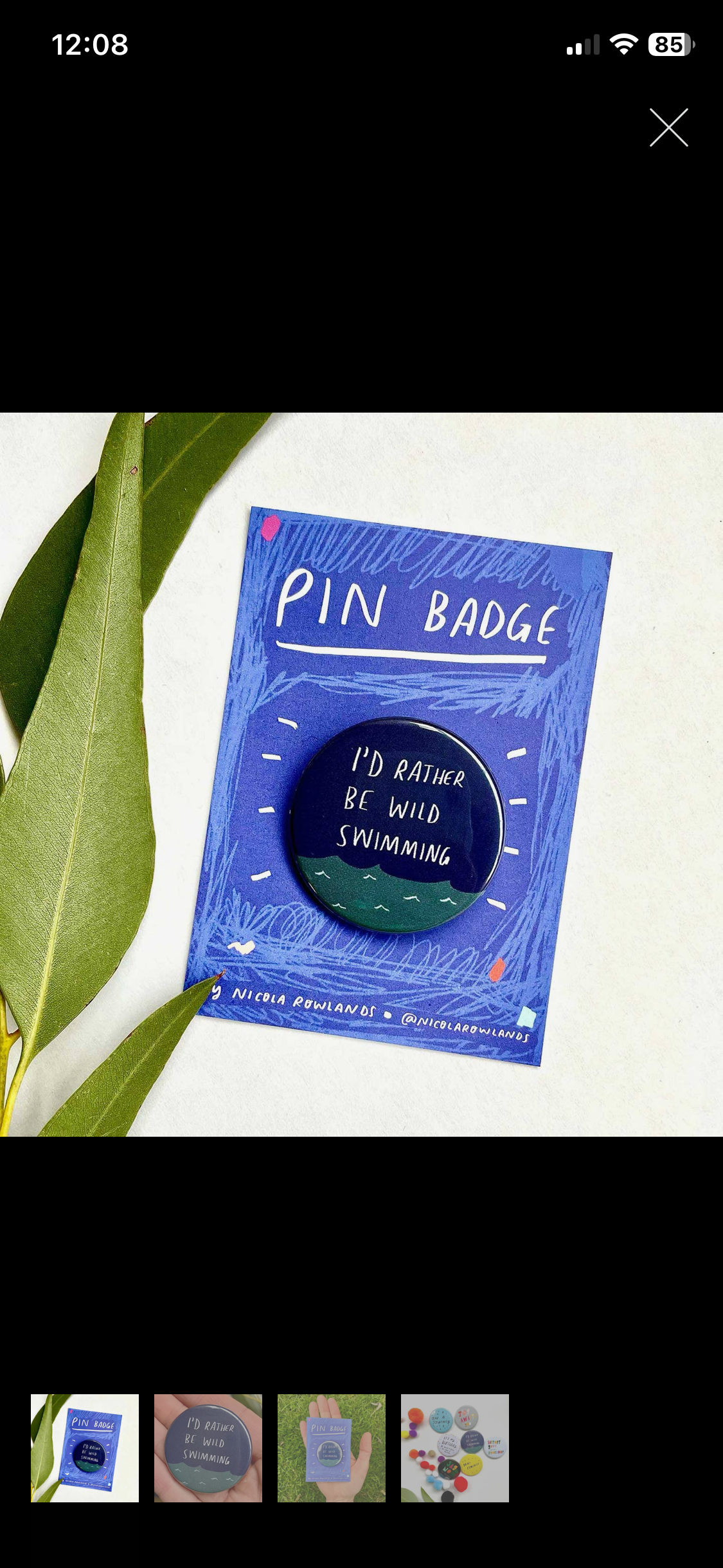 Wild Swimming Pin Badge