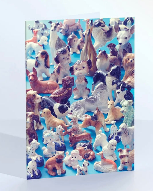 Team Dog Card