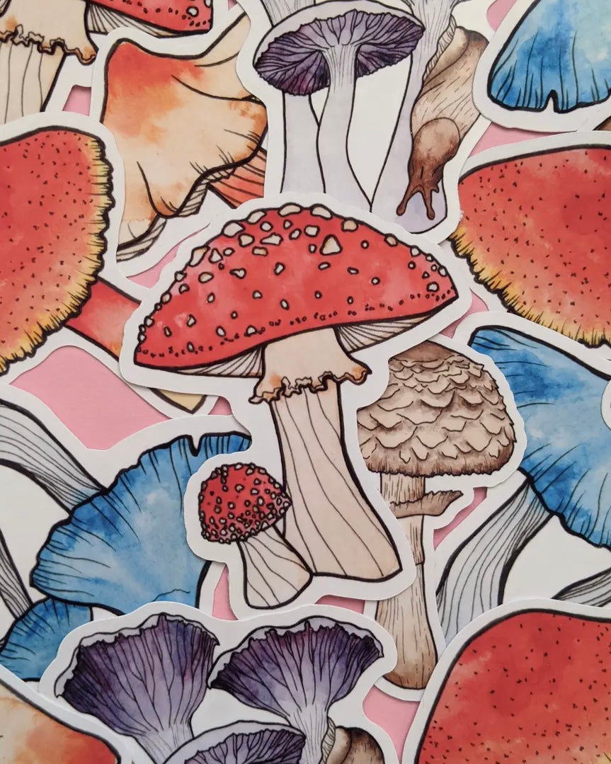 Draw To Nature Sticker Pack-Drawn To Nature-My Beautiful Caravan
