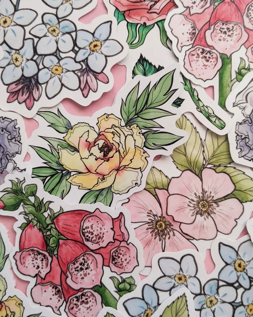 Draw To Nature Sticker Pack-Drawn To Nature-My Beautiful Caravan