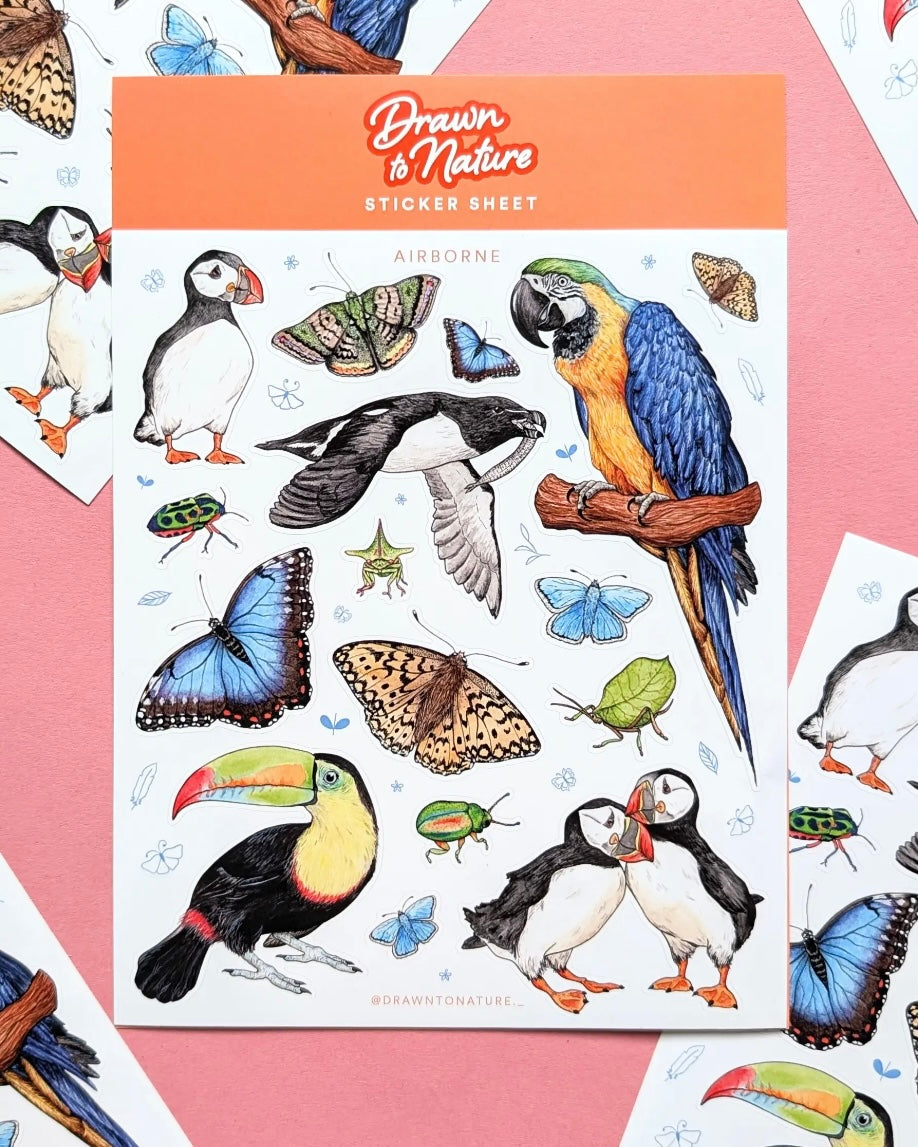 Draw To Nature Sticker Sheet-Drawn To Nature-My Beautiful Caravan