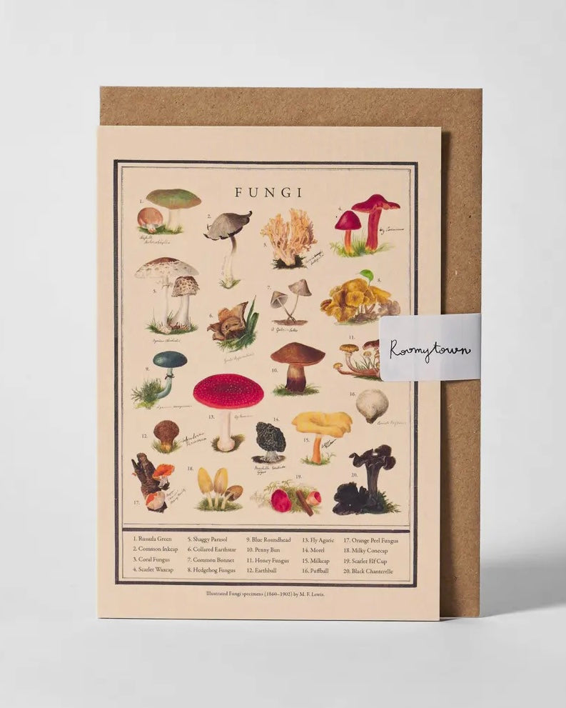 Roomytown Cards-Roomytown-My Beautiful Caravan