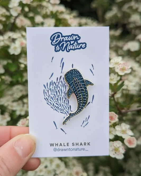 Whale Shark Pin-Drawn To Nature-My Beautiful Caravan