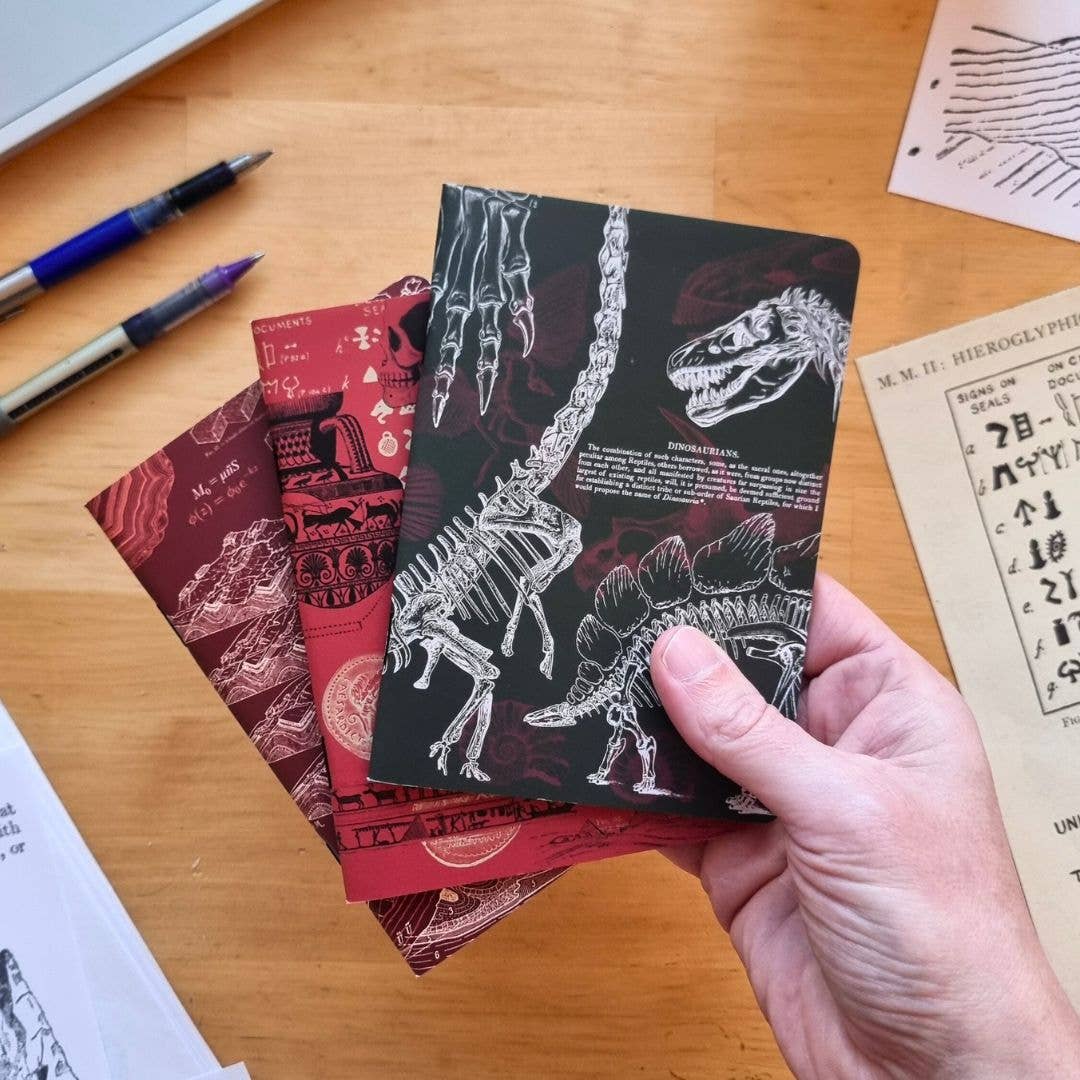 Ancient Earth Notebook Set: Geology, Paleontology, Archaeology